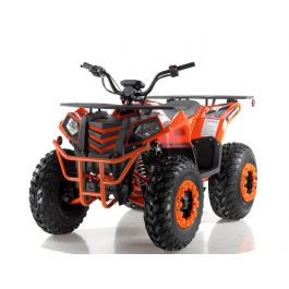 Vitacci Cougar UT-200 ATV