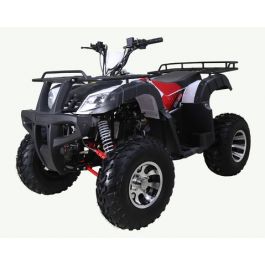 TAOTAO BULL 200 Red