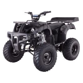 TAOTAO RHINO 250 Black