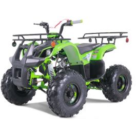 Tao Motor 125 New T-Force Mid-Size ATV "The New 2022 Model Limited Edition"