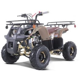 TAOTAO 125D UTILITY ATV