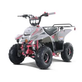 PRO TT B1 Mini 110cc Best Kids ATV