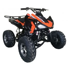 Vitacci Sport 200 ATV 