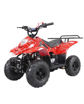 PRO TT B1 Mini 110cc Best Kids ATV