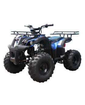 Tao Motor 125 T-Force Mid-Size ATV 