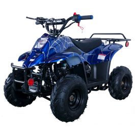 110cc ATVs